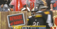 2018 Nfl Football GIF by NFL
