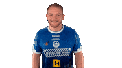 Handball-Bundesliga Angel Sticker by LIQUI MOLY HBL