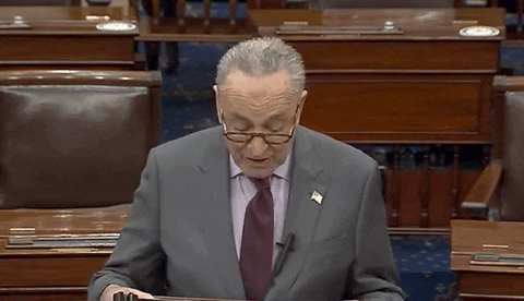 Chuck Schumer Oops GIF by GIPHY News