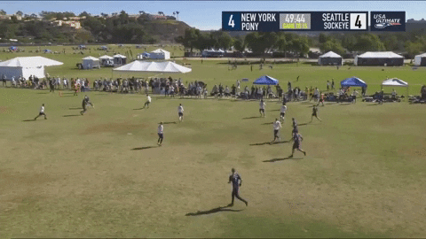 flikulti ultimate frisbee flik GIF