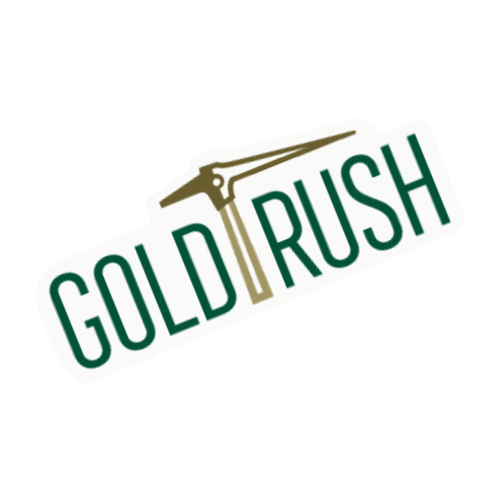 Gold Rush Charlotte Sticker by CLT Admissions