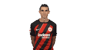 Eintracht Frankfurt Sticker by Bundesliga