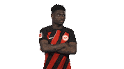 Walks Out Eintracht Frankfurt Sticker by Bundesliga