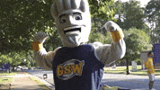 Mascot Hurricanes GIF by Georgia Southwestern State University