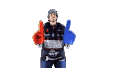 Hockey Ice Sticker by Les Ducs d'Angers