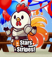 Stars Stripes Celebration GIF by Zorooster