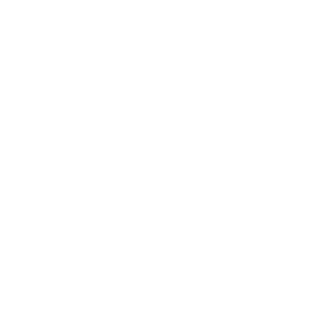 Octa Sticker by UFC GYM