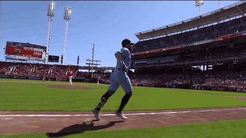 Blue Jays Baseball GIF by Toronto Blue Jays