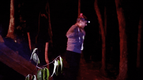 scared fox tv GIF by Kicking & Screaming