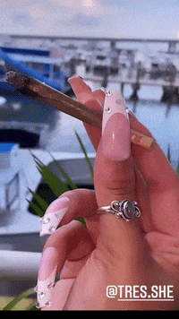 Pornstar Blunts GIF by Trés She