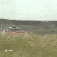 Fast Car Citroen GIF by FIA European Rally Championship