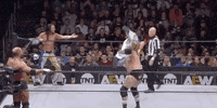 Andy Williams Bunny GIF by All Elite Wrestling on TNT