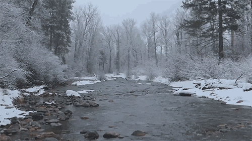Winter Stream GIF by Middlebury