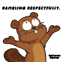 Talk Talking Sticker by VeeFriends