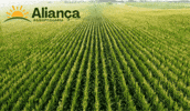 alianca-agropecuaria agro farm planta soil GIF