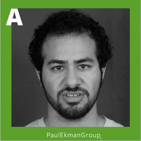 paul_ekman giphygifmaker GIF