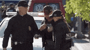 Gibbs GIF by CBS