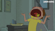 Season 3 Episode 308 GIF by Rick and Morty