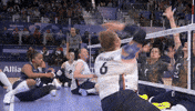 GIF by International Paralympic Committee