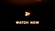 Loop Fire GIF by scottyslittlesoldiers