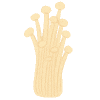Mushroom Enoki Sticker