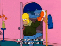 Season 1 GIF by The Simpsons