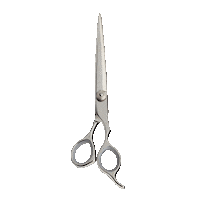 Scissors Sticker by Valentina Miller