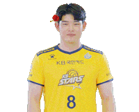 Kb스타즈 Sticker by KB STARS VOLLEYBALL CLUB