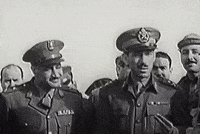 Gamal GIF