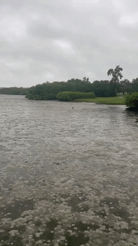 Hurricane Ian Draws in Tampa Bay Water in 'Reverse Surge' Before Landfall