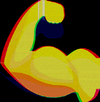 Muscle Triceps GIF by FitSalo