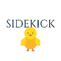 visualsidekickchick chick sidekick visualsidekick sidekickchick Sticker