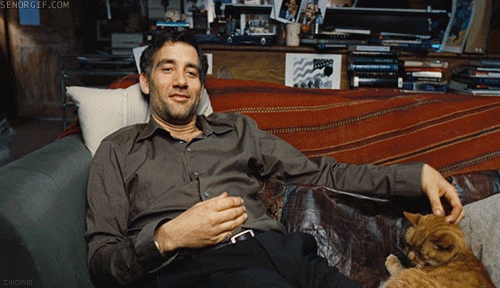 cat petting GIF by Cheezburger