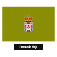 Flag Pixel Art Sticker by Formación Ninja