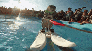 GIF by Mashable