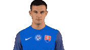 Football Celebration Sticker by Slovensky futbalovy zvaz