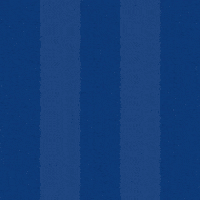 Soccer Goal GIF by Odense Boldklub