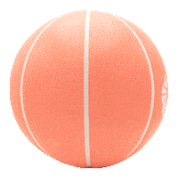 Peach Streetball Sticker by Bavo Freestyles