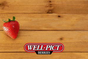 WellPict well true taste strawberries GIF