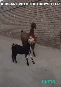 Tired Baby Blues GIF by numa