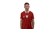 Celebration Sticker by 2score