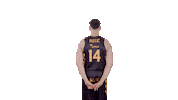Liga Endesa Basketball Sticker by ACB
