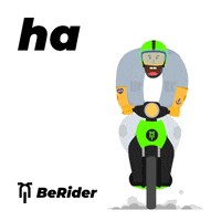 berider  GIF