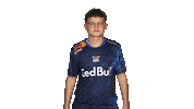 Rb Leipzig Sign Sticker by Bundesliga