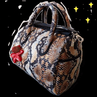PazCifuentes pazcifuentesbags GIF