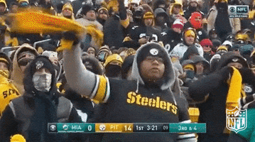 Pittsburgh Steelers Football GIF by NFL