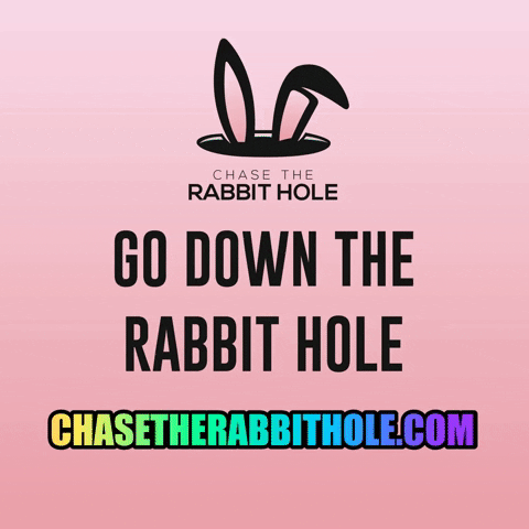chasetherabbithole giphygifmaker rabbit ideas hole GIF