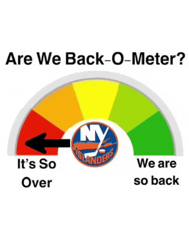 New York Islanders GIF