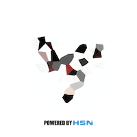 Hsn Mentoring Sticker by Healthy Steps Nutrition