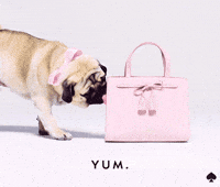Kate Spade No GIF by kate spade new york